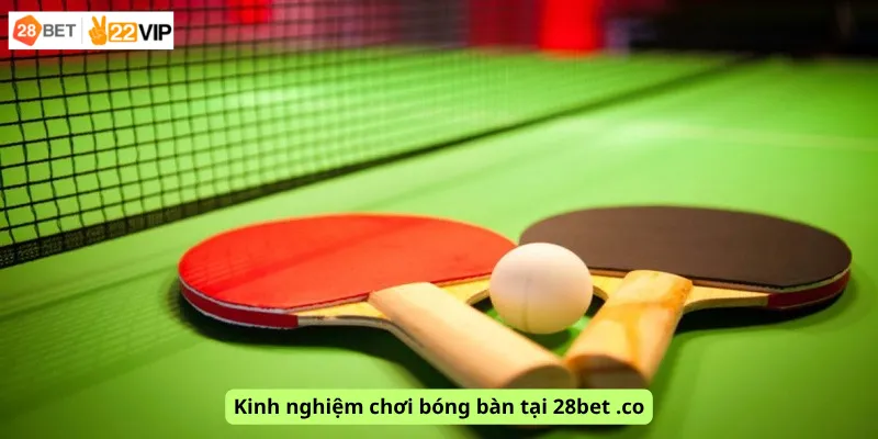 Kinh nghiệm chơi bóng bàn tại 28bet .co