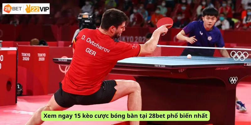 Xem ngay 15 kèo cược bóng bàn tại 28bet phổ biến nhất